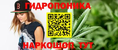 СК Пугачёв