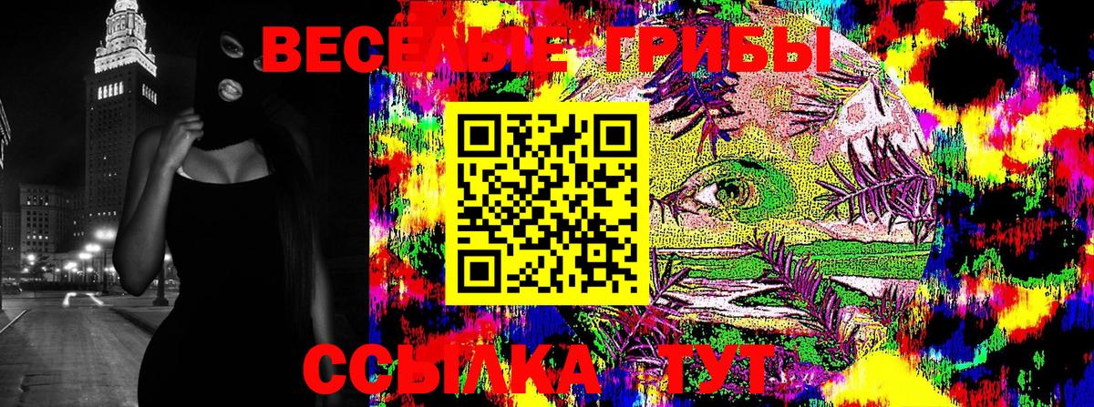 Советск  Галлюциногенные грибы прущие грибы  Вход с VPN  Псилоцибиновые грибы Magic Shrooms 
